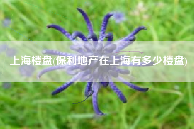 上海楼盘(保利地产在上海有多少楼盘)