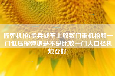 榴弹机枪(步兵战车上放数门重机枪和一门低压榴弹炮是不是比放一门大口径机炮要好)