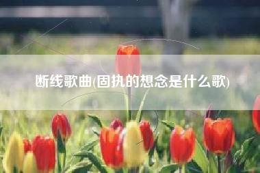 断线歌曲(固执的想念是什么歌)