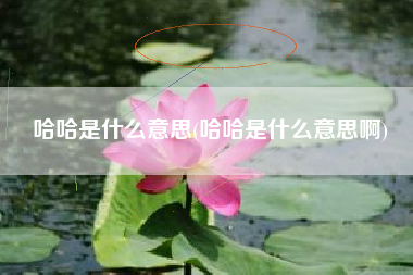 哈哈是什么意思(哈哈是什么意思啊)