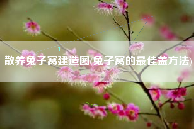 散养兔子窝建造图(兔子窝的最佳盖方法)