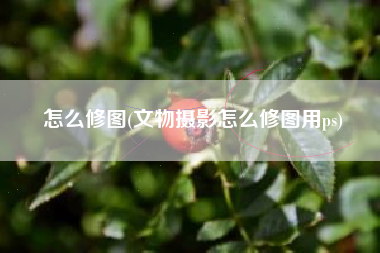 怎么修图(文物摄影怎么修图用ps)