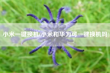 小米一键换机(小米和华为可一键换机吗)