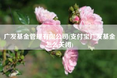 广发基金管理有限公司(支付宝广发基金怎么关闭)