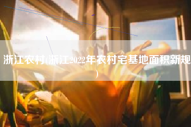 浙江农村(浙江2022年农村宅基地面积新规)