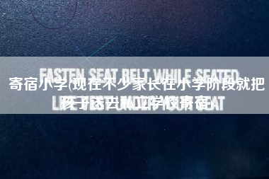 寄宿小学(现在不少家长在小学阶段就把孩子送去私立学校寄宿)