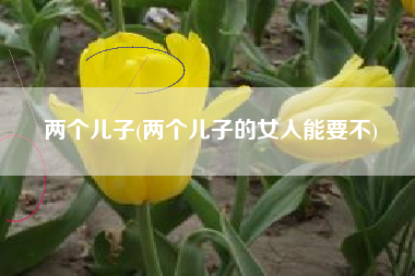 两个儿子(两个儿子的女人能要不)