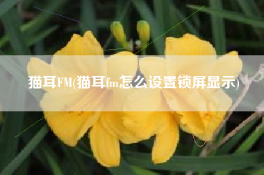 猫耳FM(猫耳fm怎么设置锁屏显示)