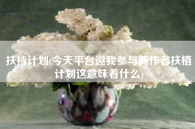 扶持计划(今天平台邀我参与新作者扶植计划这意味着什么)