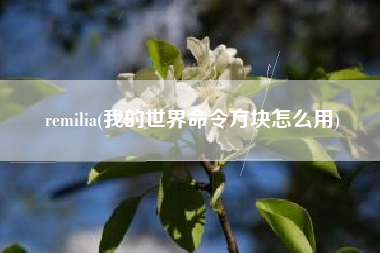 remilia(我的世界命令方块怎么用)