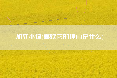 加立小镇(喜欢它的理由是什么)