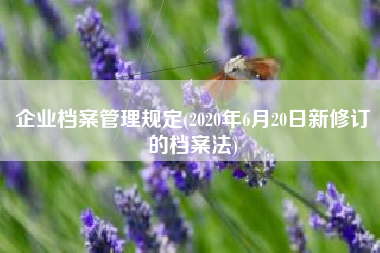 企业档案管理规定(2020年6月20日新修订的档案法)