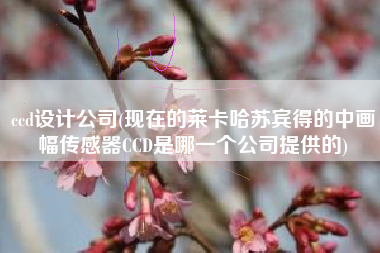 ccd设计公司(现在的莱卡哈苏宾得的中画幅传感器CCD是哪一个公司提供的)