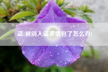 盗(被别人盗表情包了怎么办)