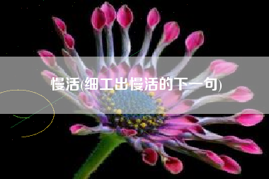 慢活(细工出慢活的下一句)