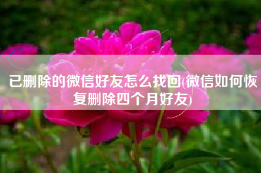已删除的微信好友怎么找回(微信如何恢复删除四个月好友)