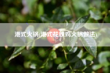 港式火锅(港式花胶鸡火锅做法)