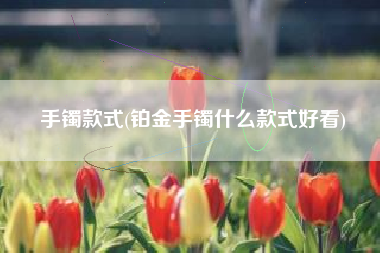 手镯款式(铂金手镯什么款式好看)