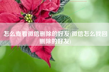 怎么查看微信删除的好友(微信怎么找回删除的好友)