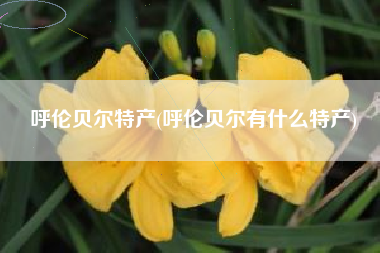 呼伦贝尔特产(呼伦贝尔有什么特产)