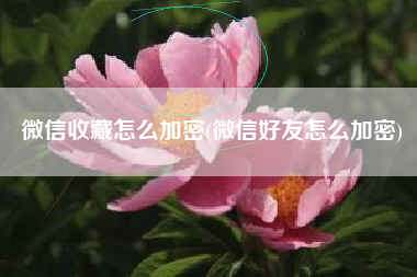 微信收藏怎么加密(微信好友怎么加密)
