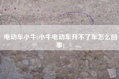 电动车小牛(小牛电动车开不了车怎么回事)