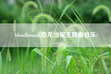 bloodhound(恐龙当家主题曲音乐)