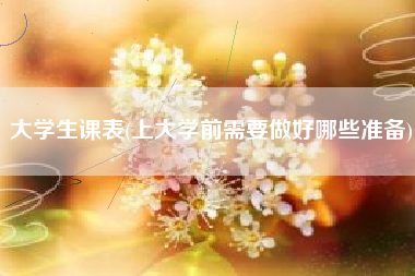 大学生课表(上大学前需要做好哪些准备)