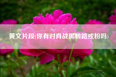 黄文片段(你有对肖战黑转路或粉吗)