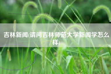 吉林新闻(请问吉林师范大学新闻学怎么样)