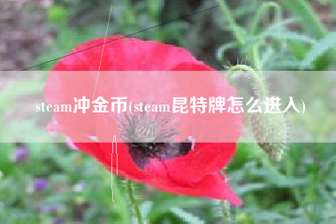 steam冲金币(steam昆特牌怎么进入)