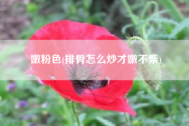 嫩粉色(排骨怎么炒才嫩不柴)