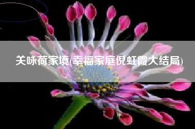 关咏荷家境(幸福家庭倪虹霞大结局)