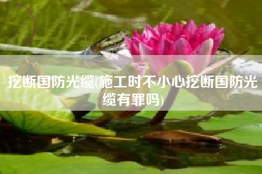 挖断国防光缆(施工时不小心挖断国防光缆有罪吗)