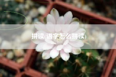 拼读(语字怎么拼读)
