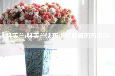 科芙兰(科芙兰淡斑小灯泡真的有用吗)