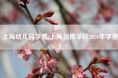 上海幼儿园学费(上海剑桥学校2020年学费)