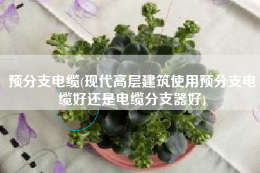 预分支电缆(现代高层建筑使用预分支电缆好还是电缆分支器好)
