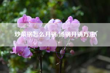 炒菜锅怎么开锅(汤锅开锅方法)