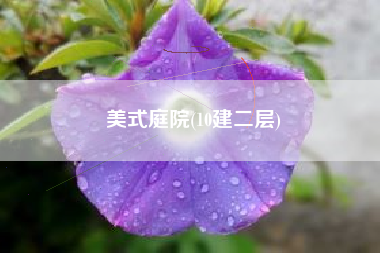 美式庭院(10建二层)