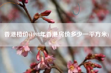 香港楼价(1998年香港房价多少一平方米)