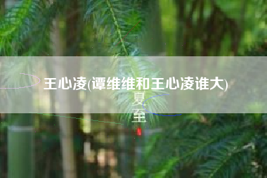 王心凌(谭维维和王心凌谁大)