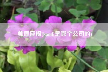 帅康座椅(kandi是哪个公司的)