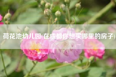 荷花池幼儿园(在成都你想买哪里的房子)