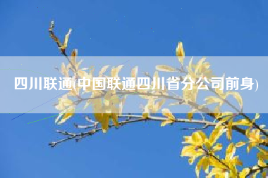 四川联通(中国联通四川省分公司前身)