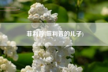 菲利普(菲利普的儿子)