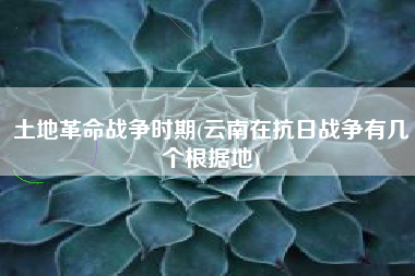 土地革命战争时期(云南在抗日战争有几个根据地)