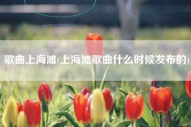 歌曲上海滩(上海滩歌曲什么时候发布的)