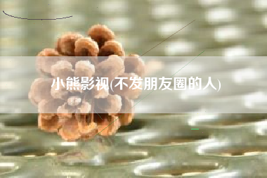 小熊影视(不发朋友圈的人)