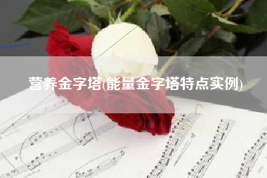 营养金字塔(能量金字塔特点实例)